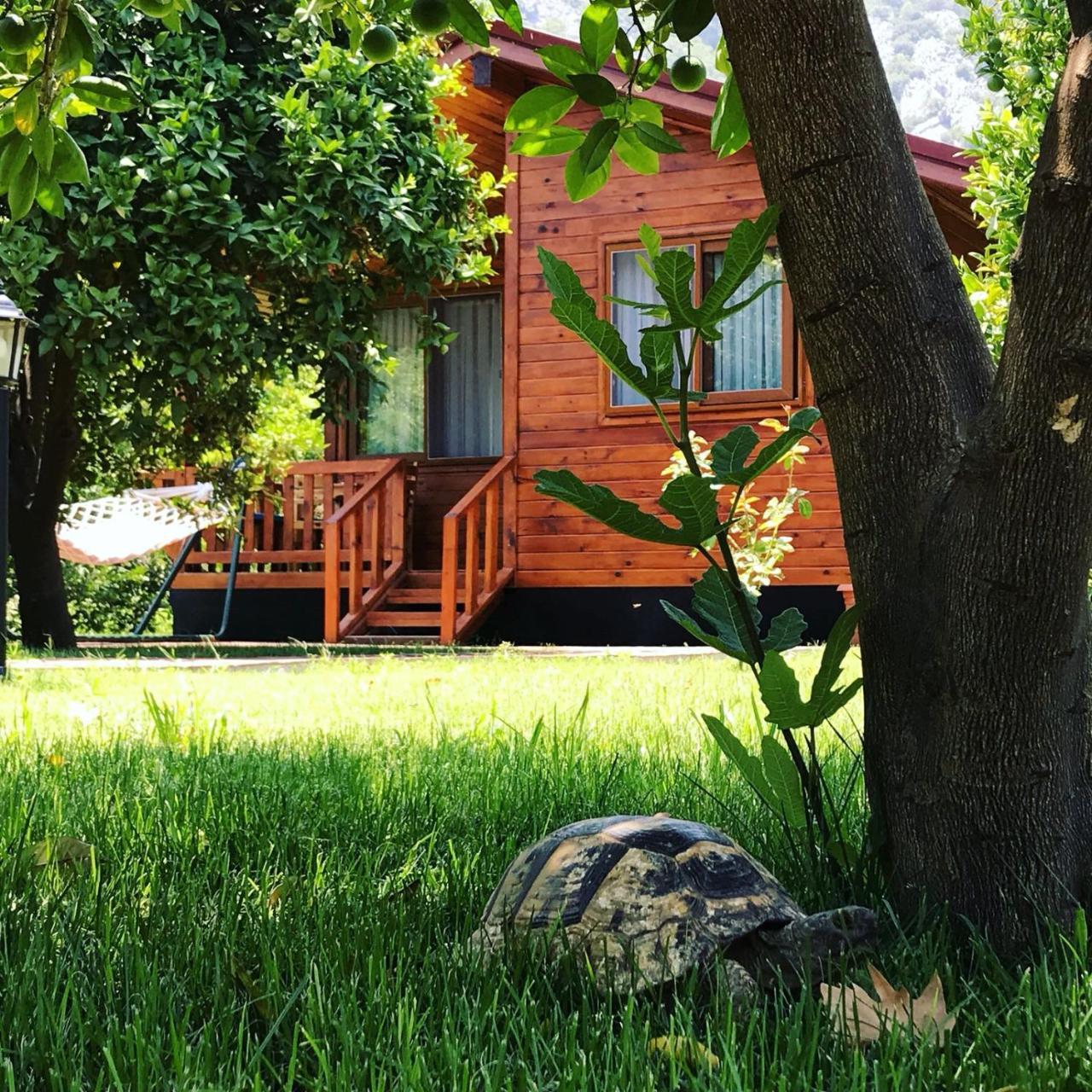 Asya Bungalow Çıralı Dış mekan fotoğraf