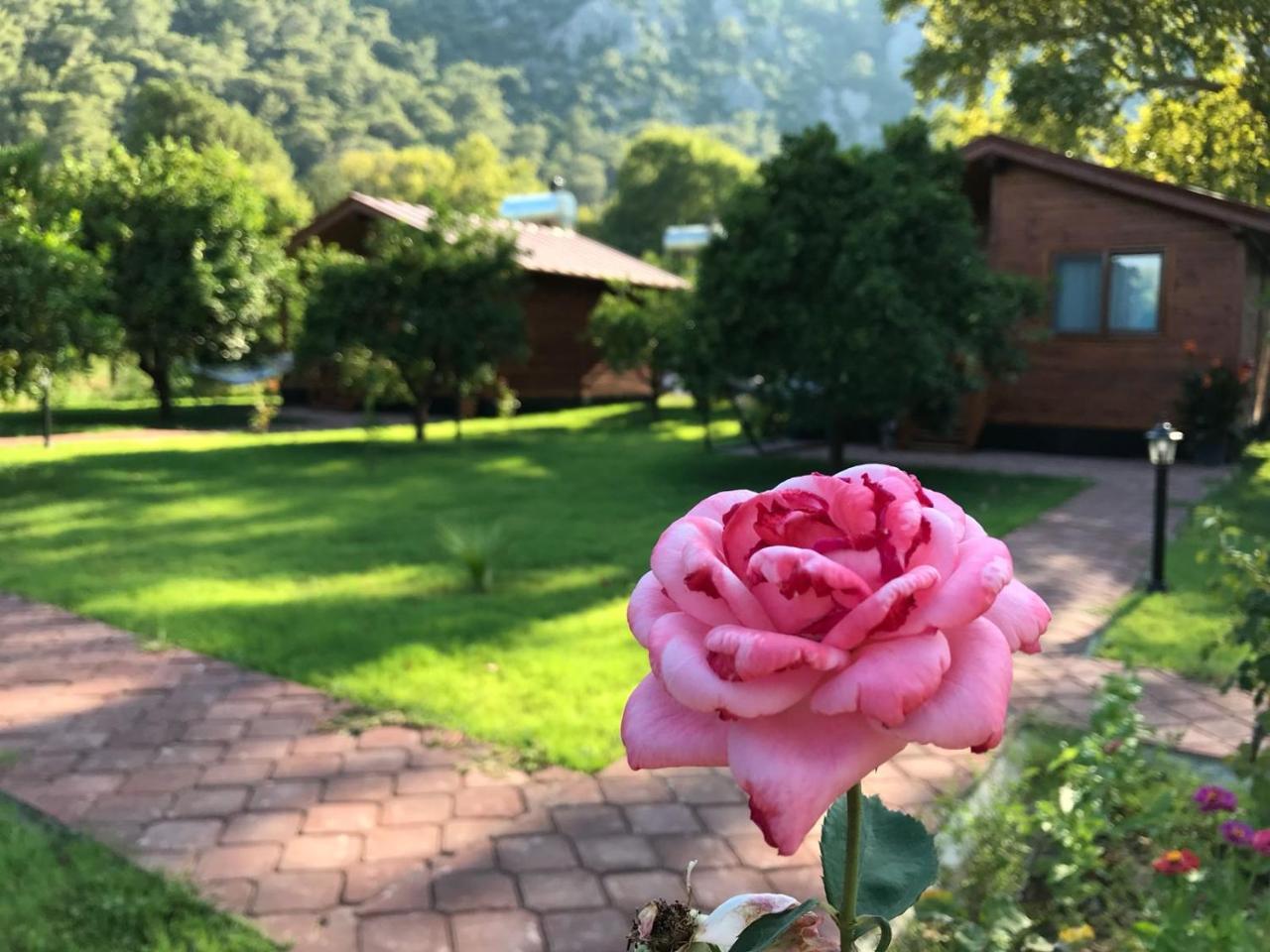 Asya Bungalow Çıralı Dış mekan fotoğraf